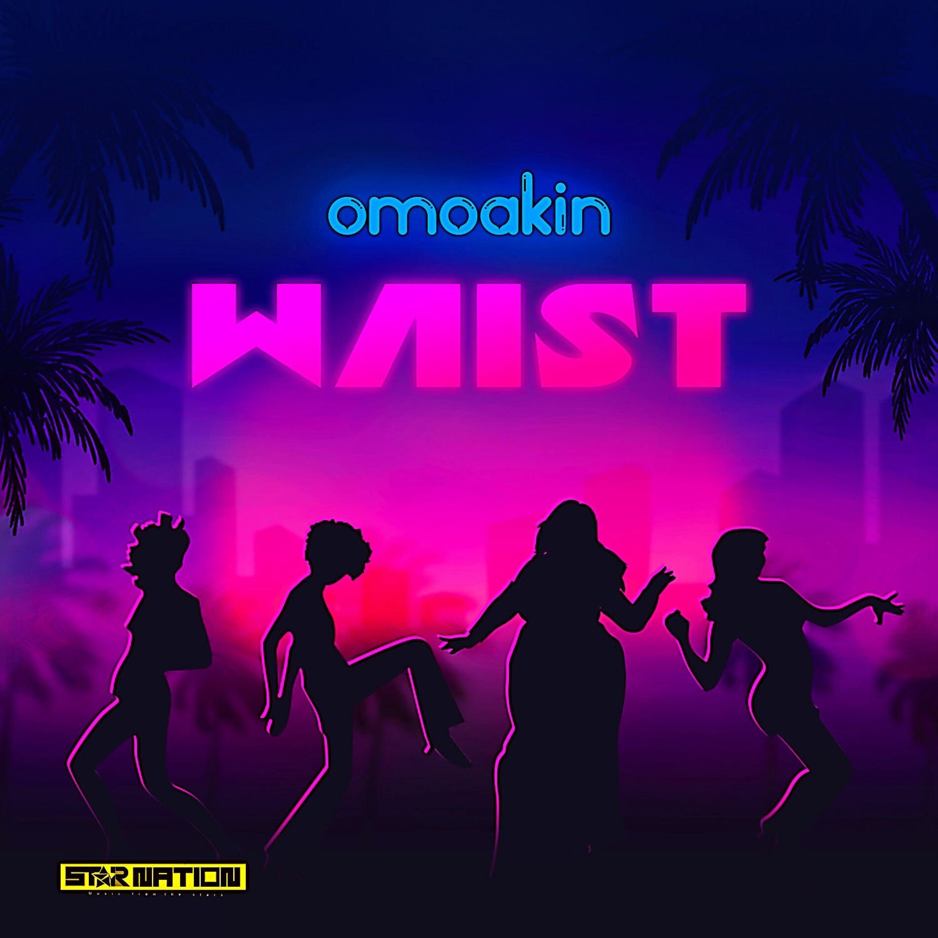 Album cover of Waist