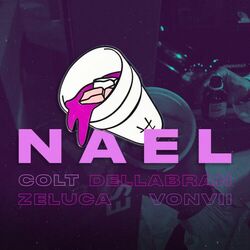 Cover of NAEL