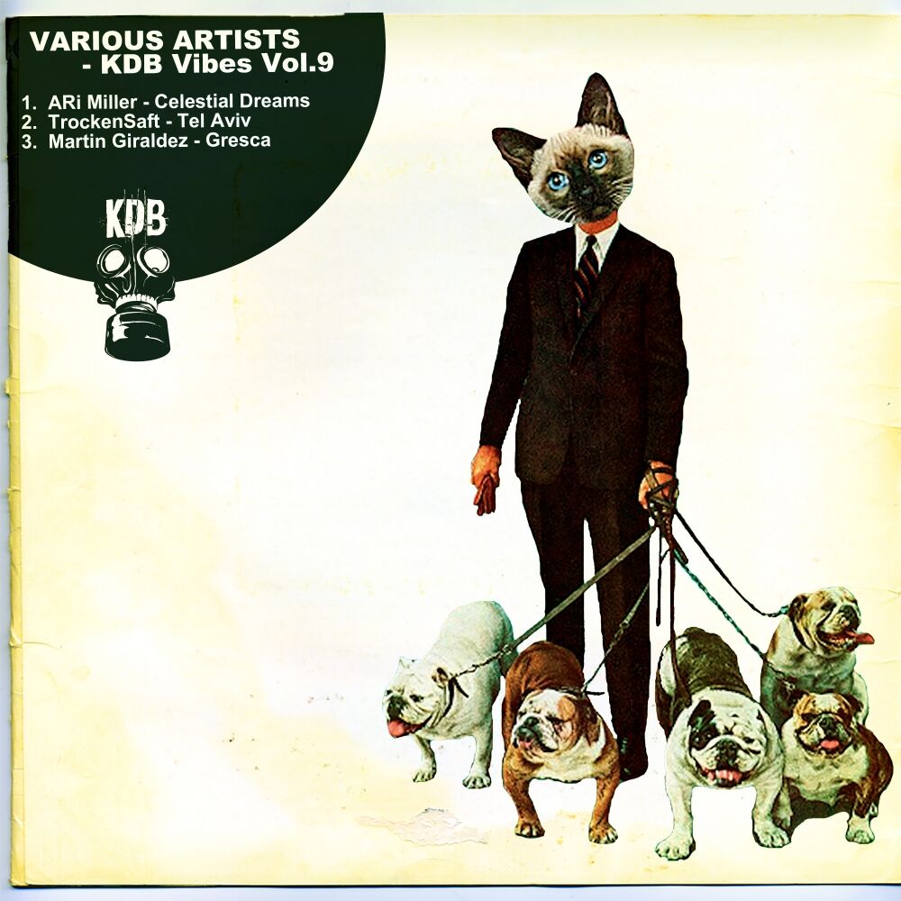 Picture of KDB Vibes, Vol. 9