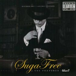 Cover of The Features V.2