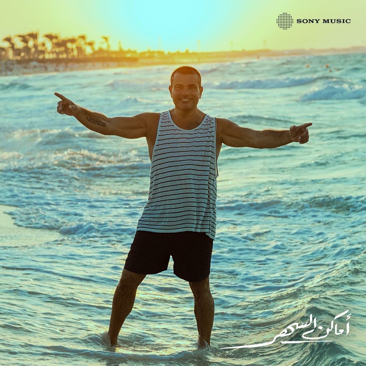 Album cover of Amaken El Sahar