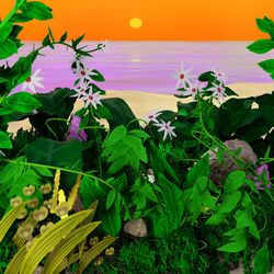 Cover of Higher Planes