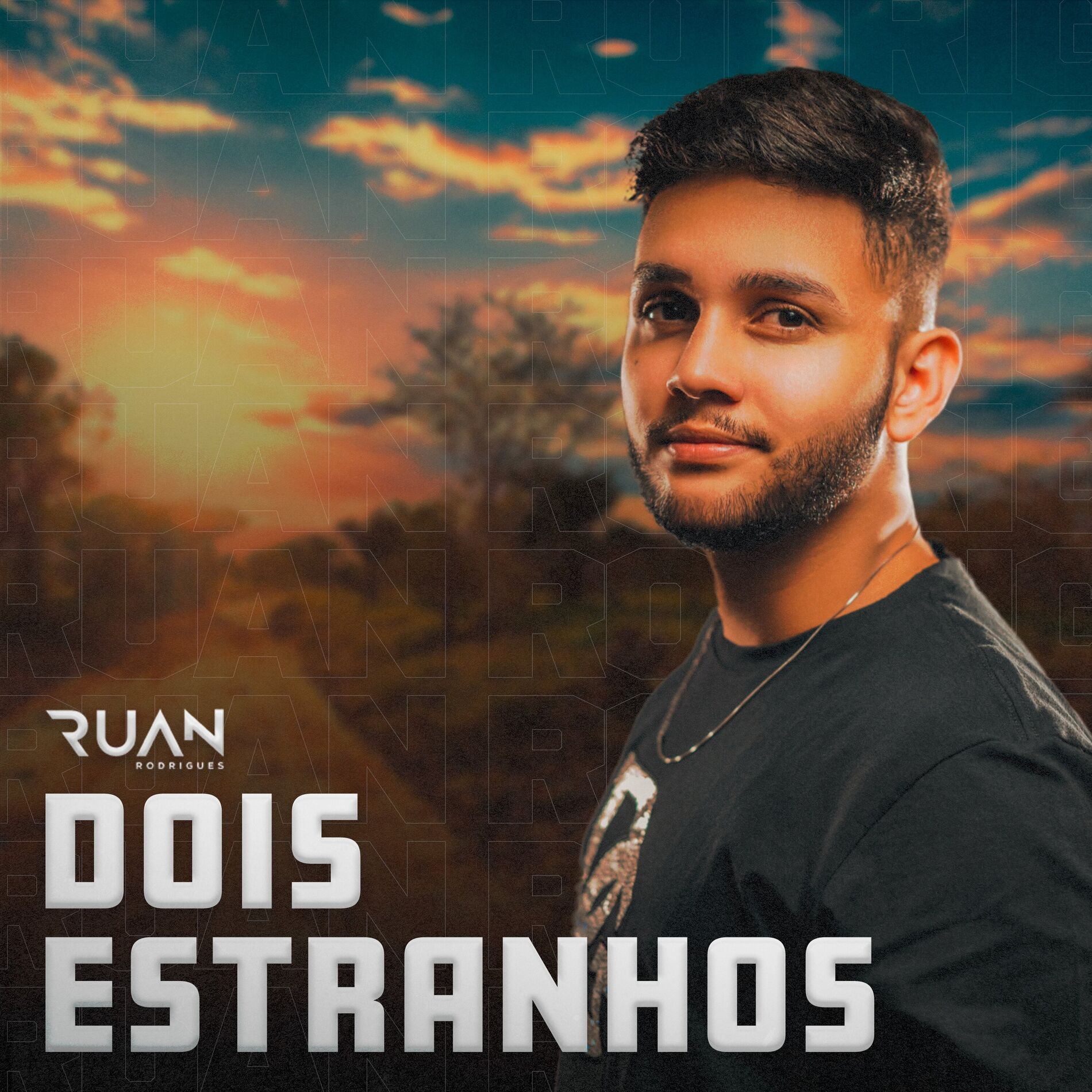 Album cover of Dois Estranhos