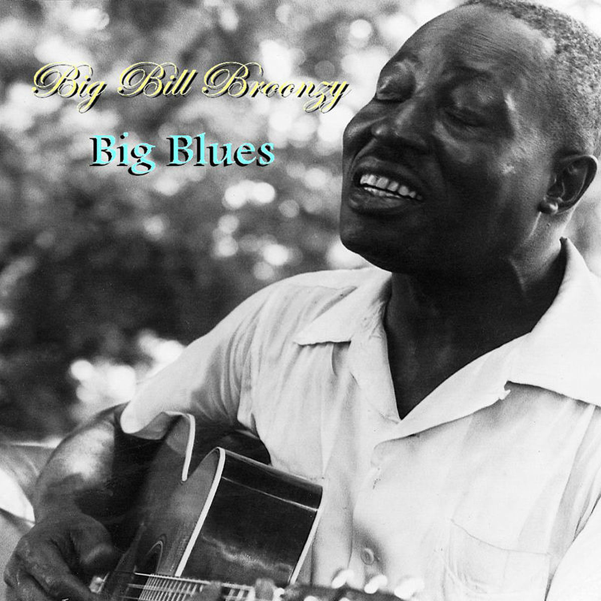Album cover of Big Blues