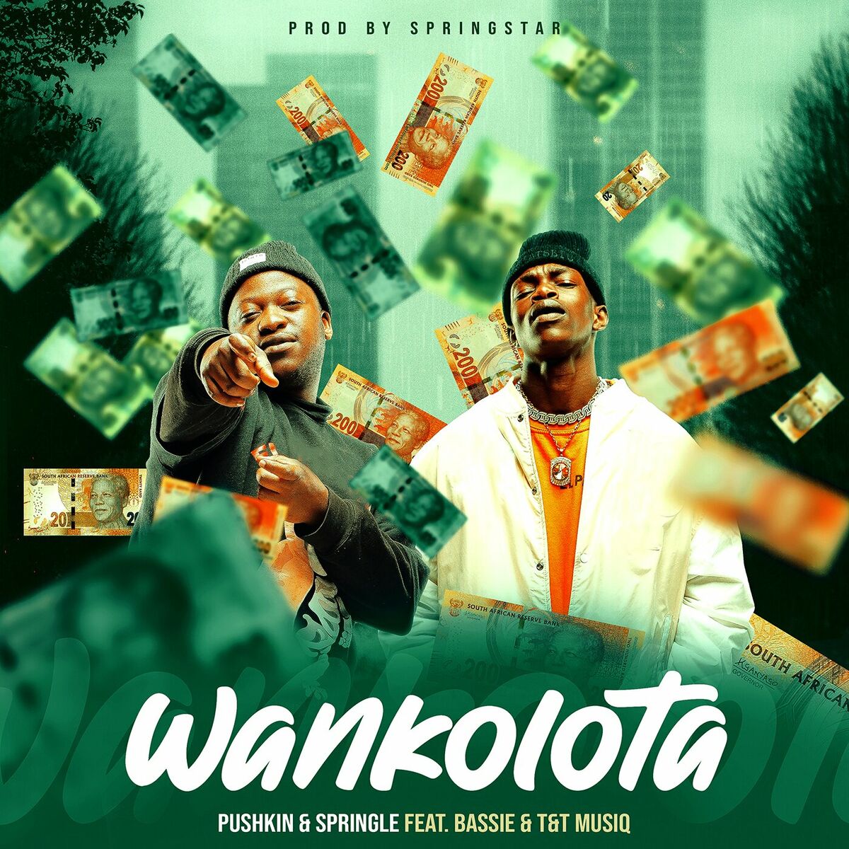 Album cover of Wankolota (feat. Bassie, T&T Muziq)