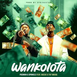 Cover of Wankolota (feat. Bassie, T&T Muziq)