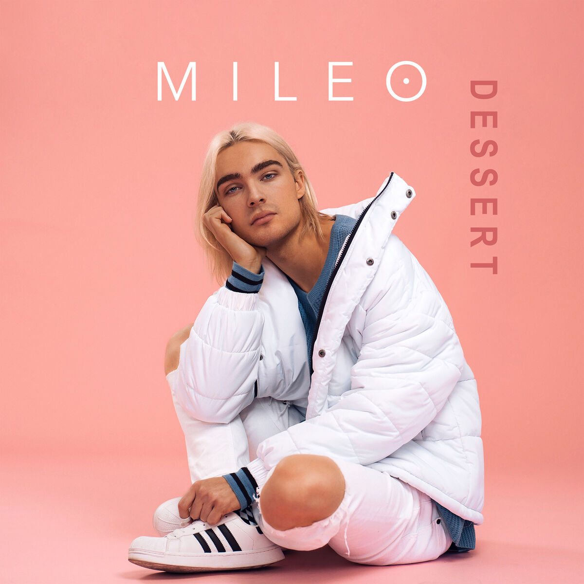 Album cover of Dessert