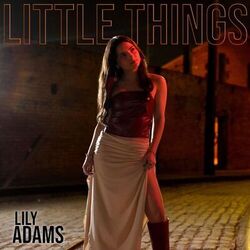 Cover of Little Things