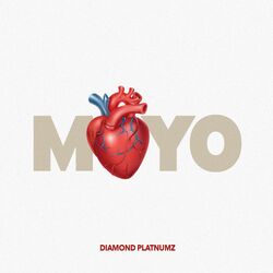 Cover of Moyo