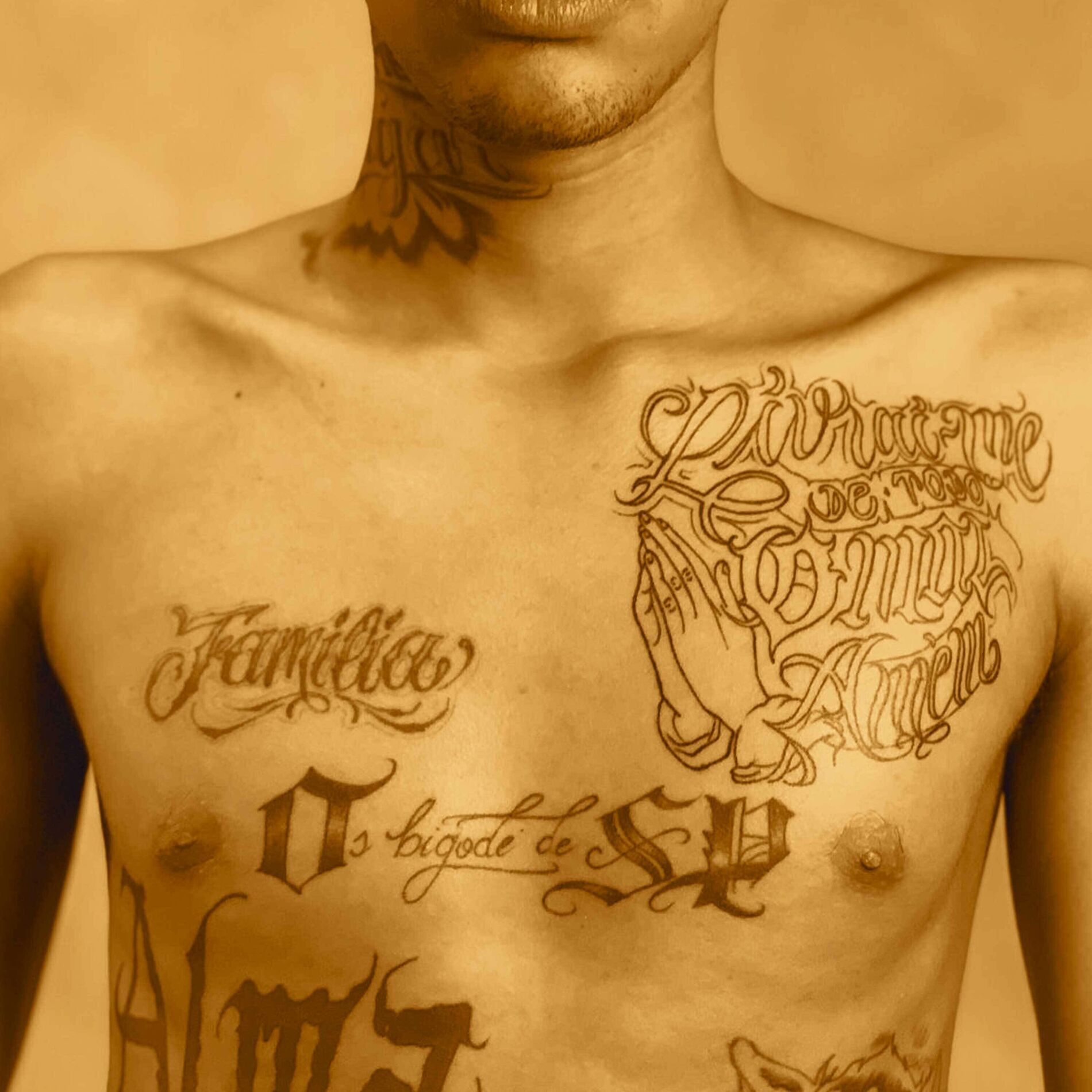 Album cover of Duas Faces
