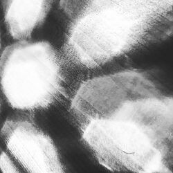 Cover of Mystic EP