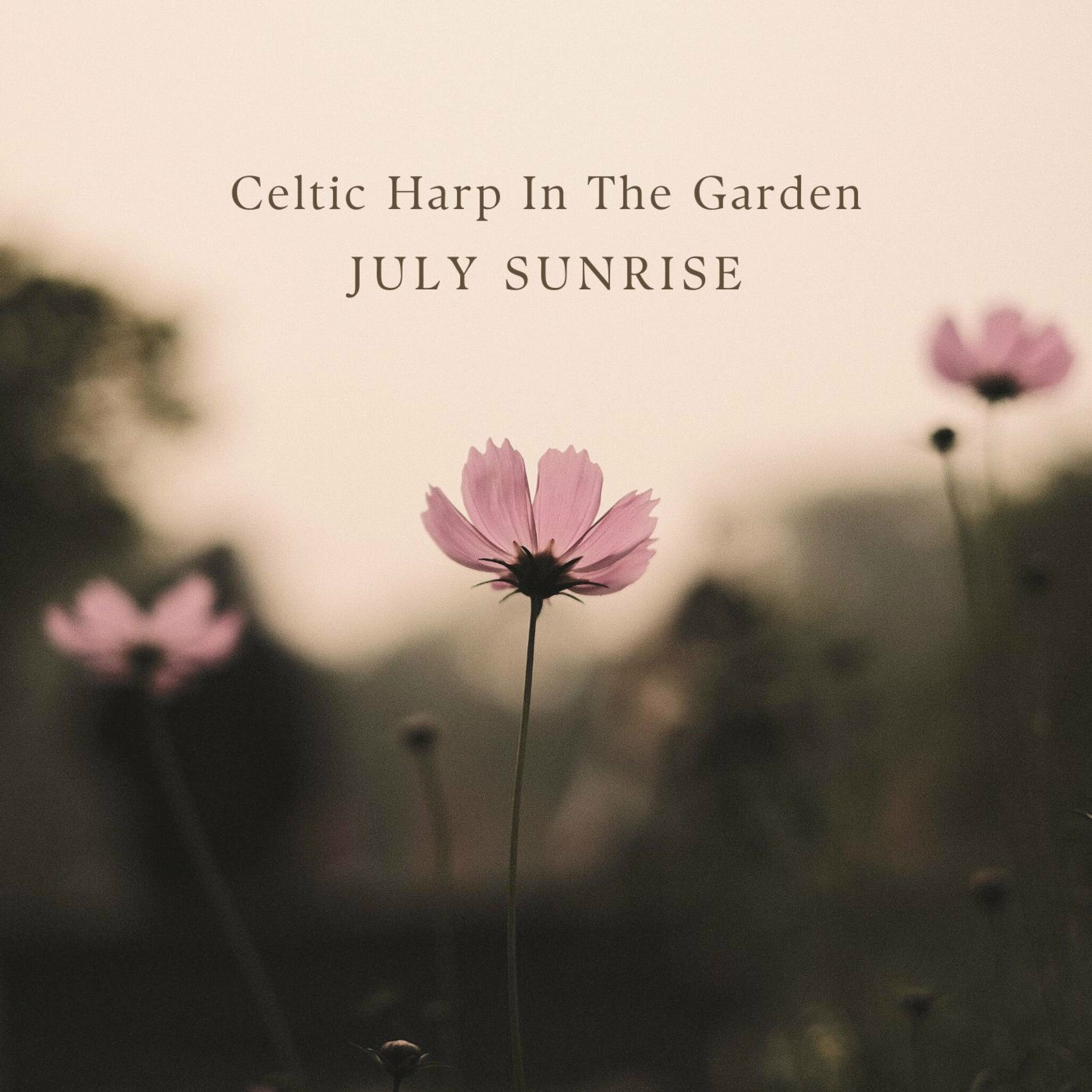 Album cover of Celtic Harp In The Garden