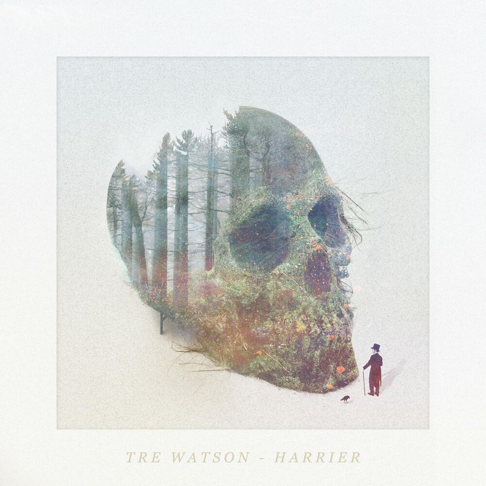 Picture of Harrier