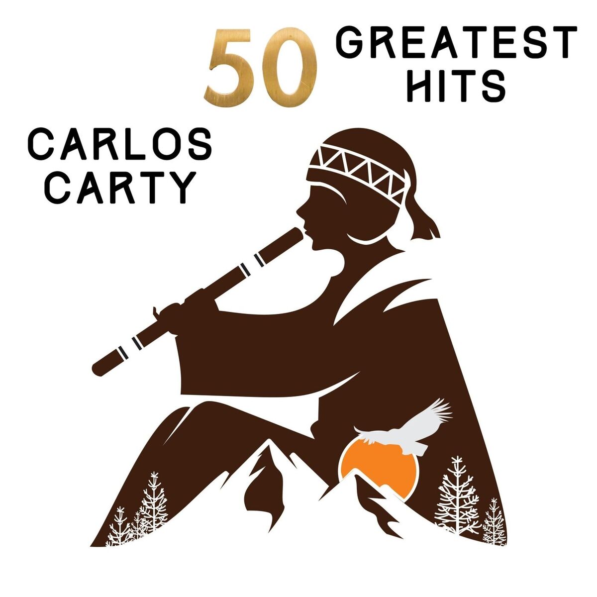 Album cover of Native American Flute in the Rainforest