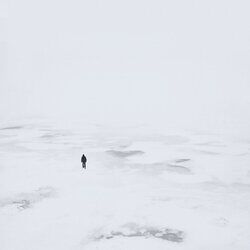 Cover of Polar
