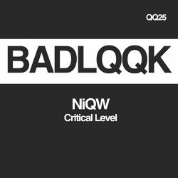 Cover of Critical Level
