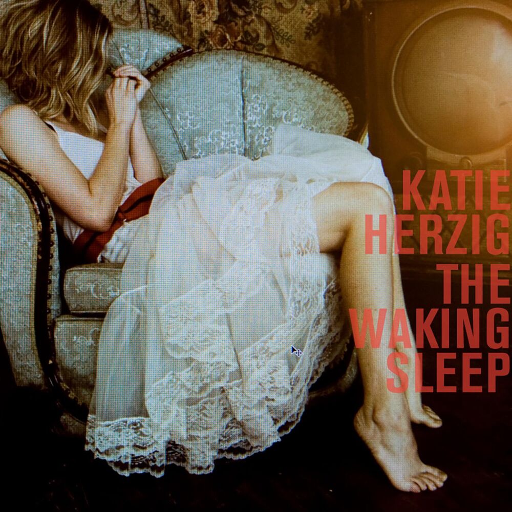 Picture of The Waking Sleep