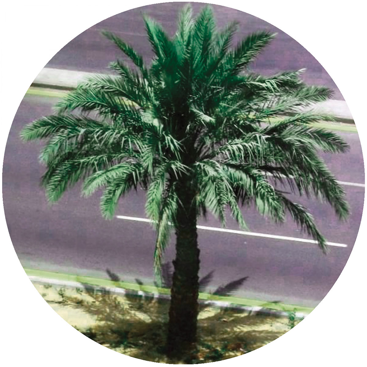 Album cover of Watching The World Go By
