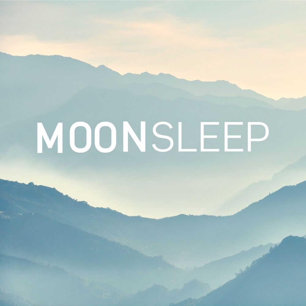 Picture of Les États de Sommeil