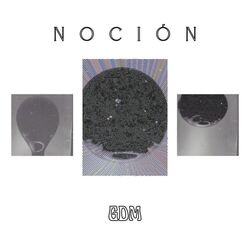 Cover of Noción