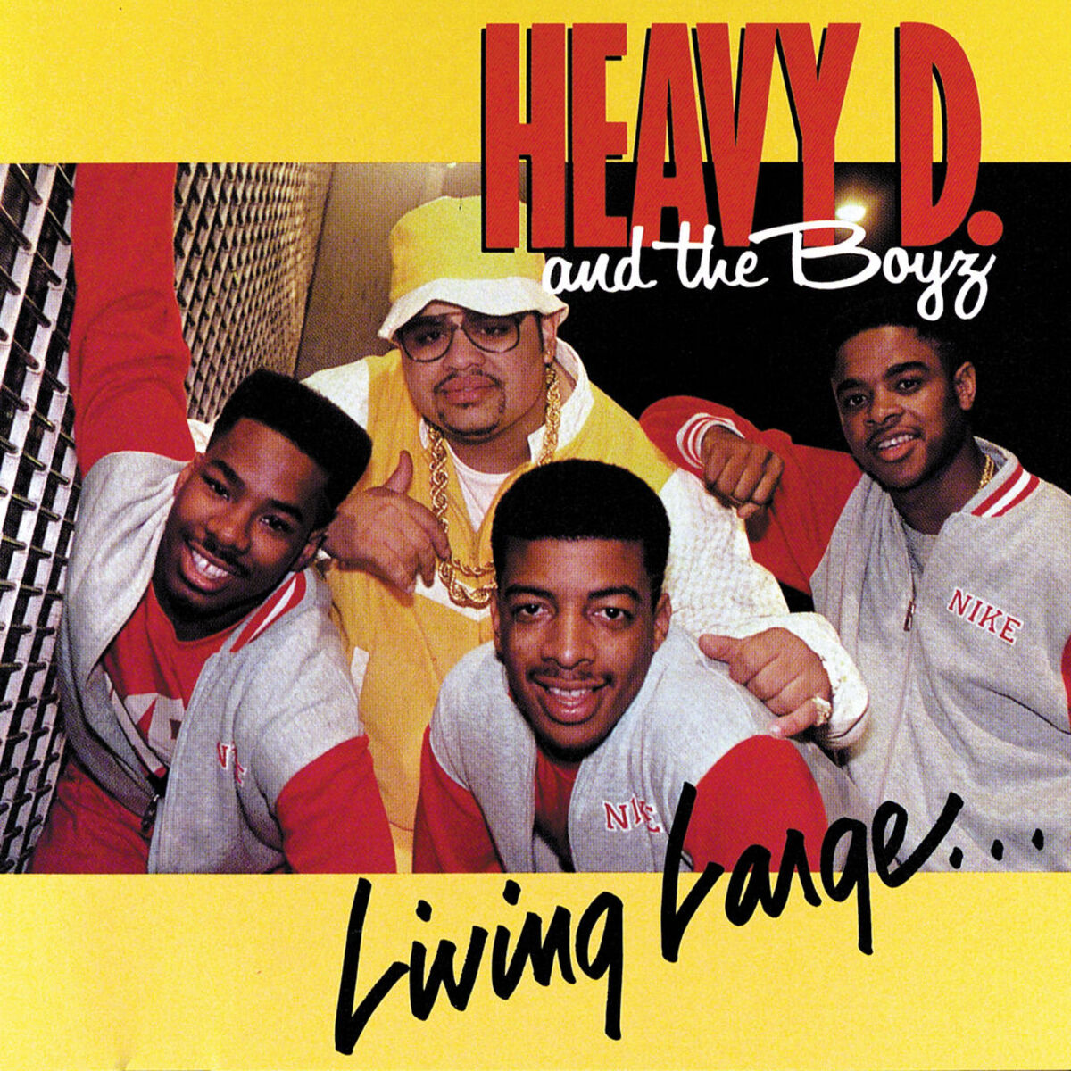 Album cover of The Overweight Lovers In The House