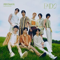 Cover of PADO