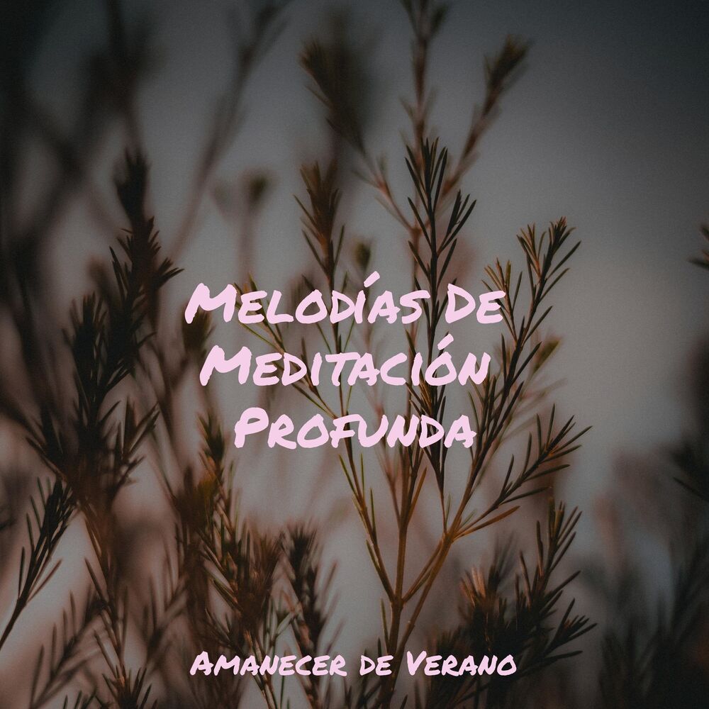 Picture of Melodías De Meditación Profunda