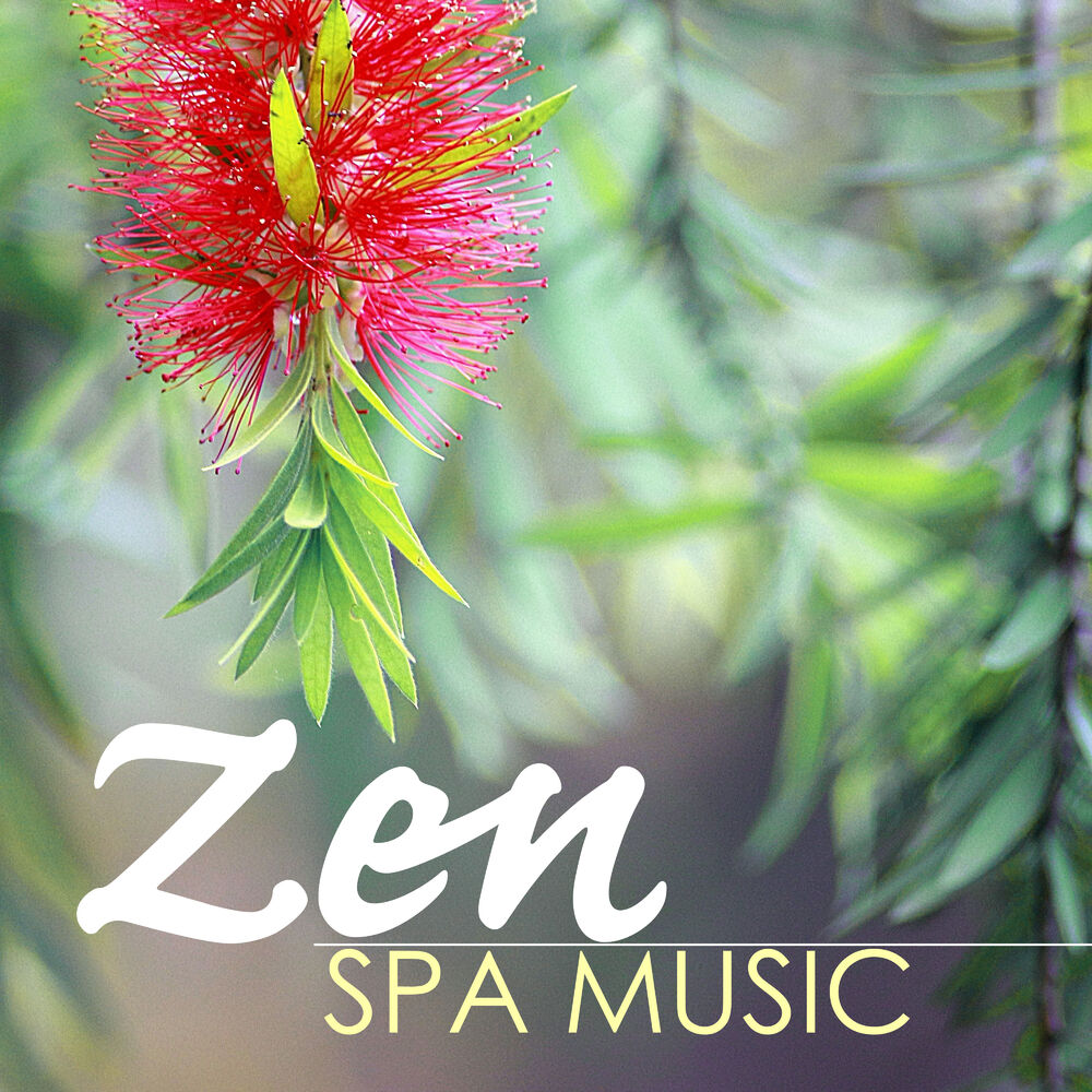 Picture of Zen Spa Music - Detox Wellness Center Songs, Hotel Waiting Room Instrumental Collection