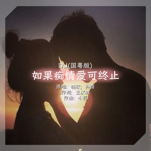 如果痴情爱可终止 (DJ国粤版)