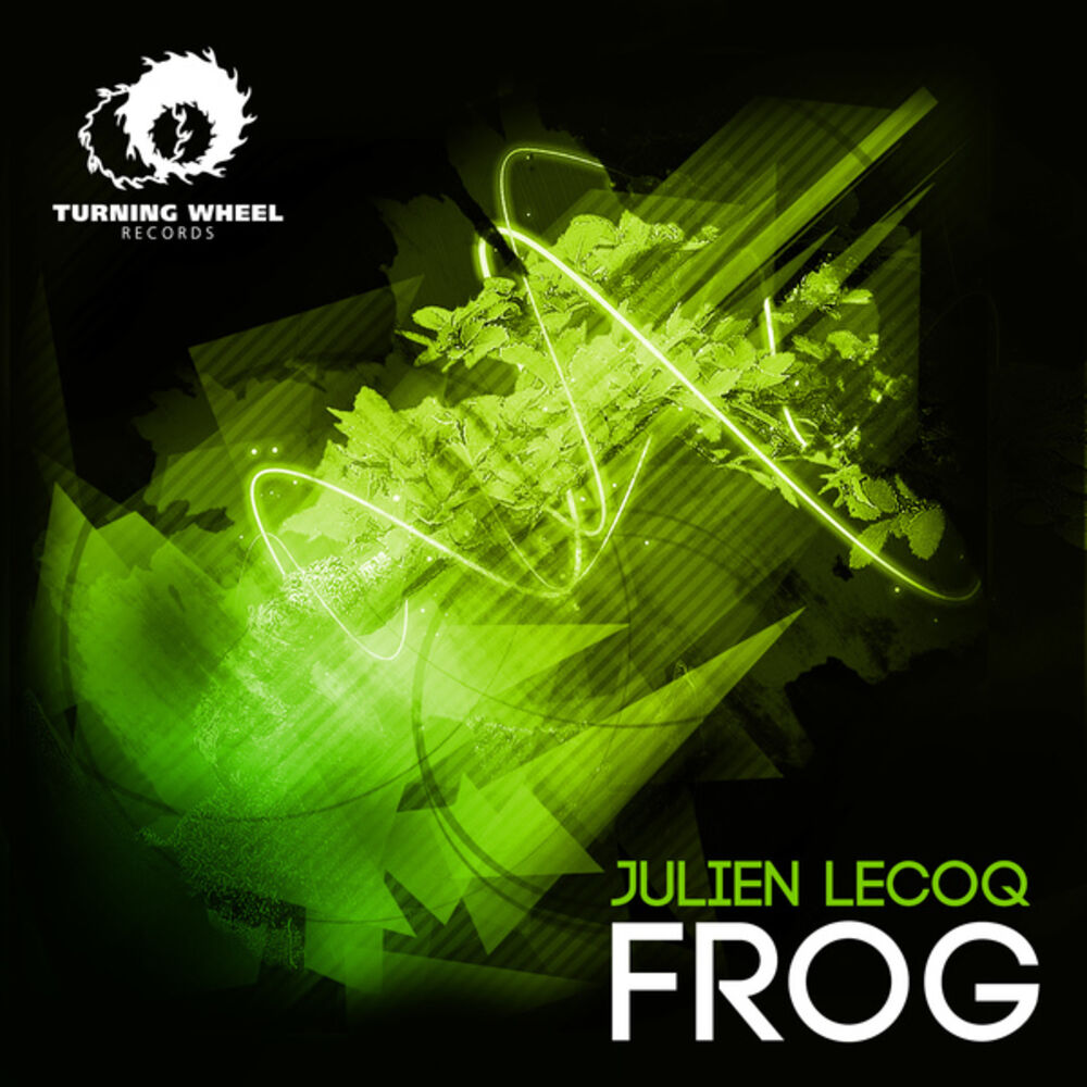 Picture of Frog