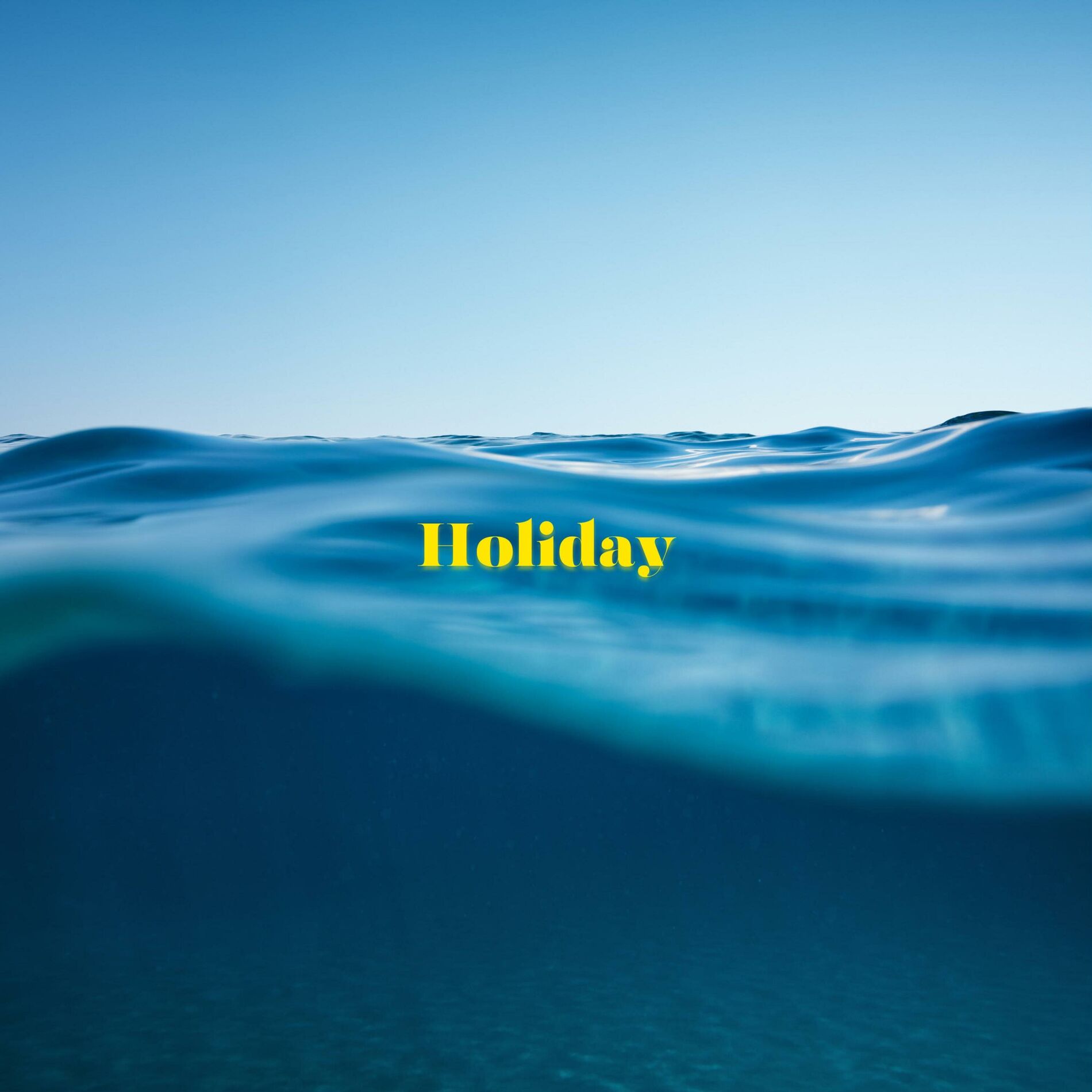 Album cover of Holiday