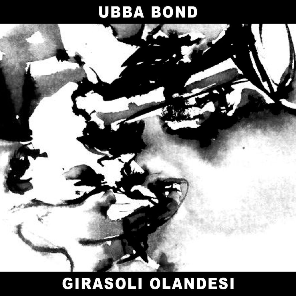 Picture of Girasoli Olandesi
