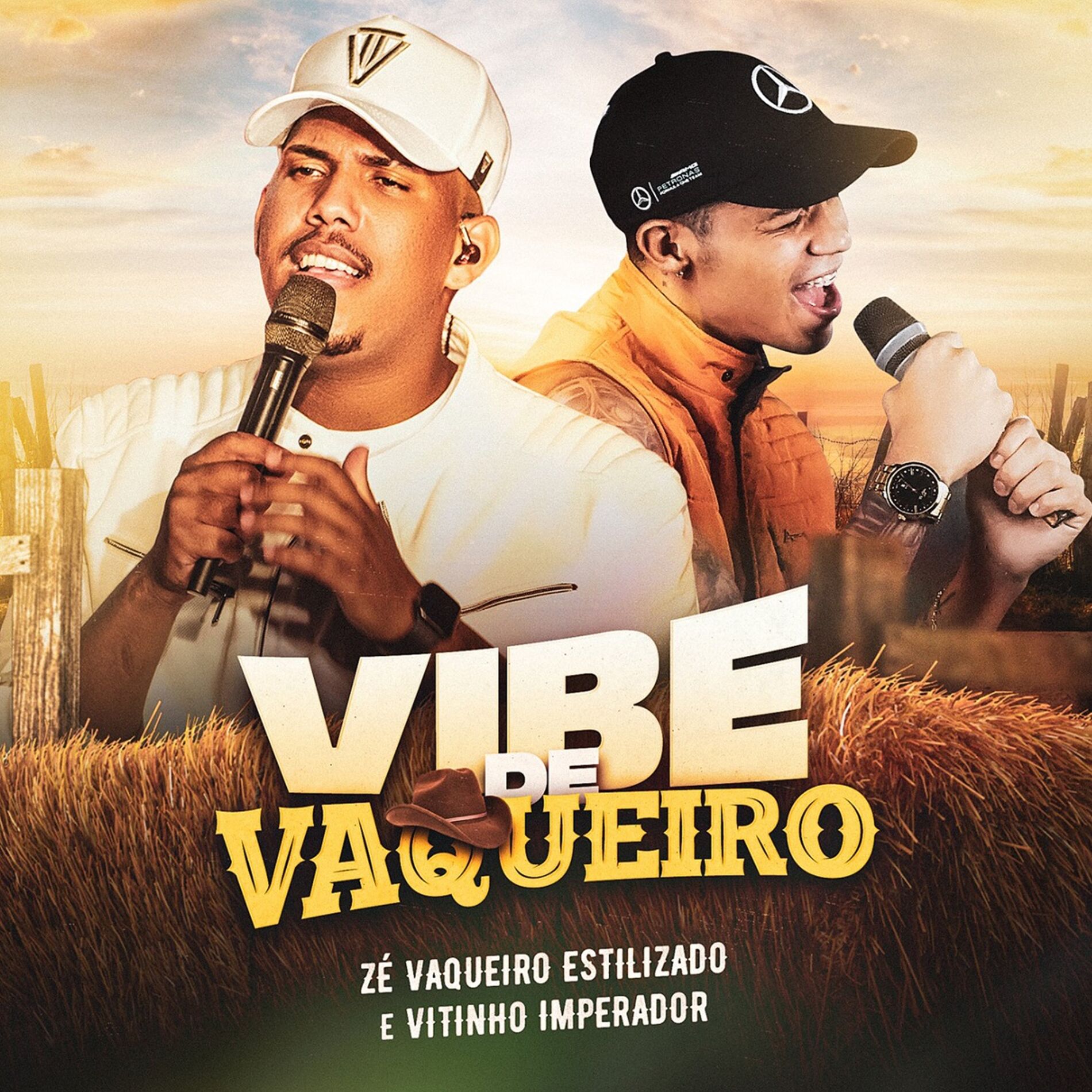 Album cover of Vibe do Vaqueiro