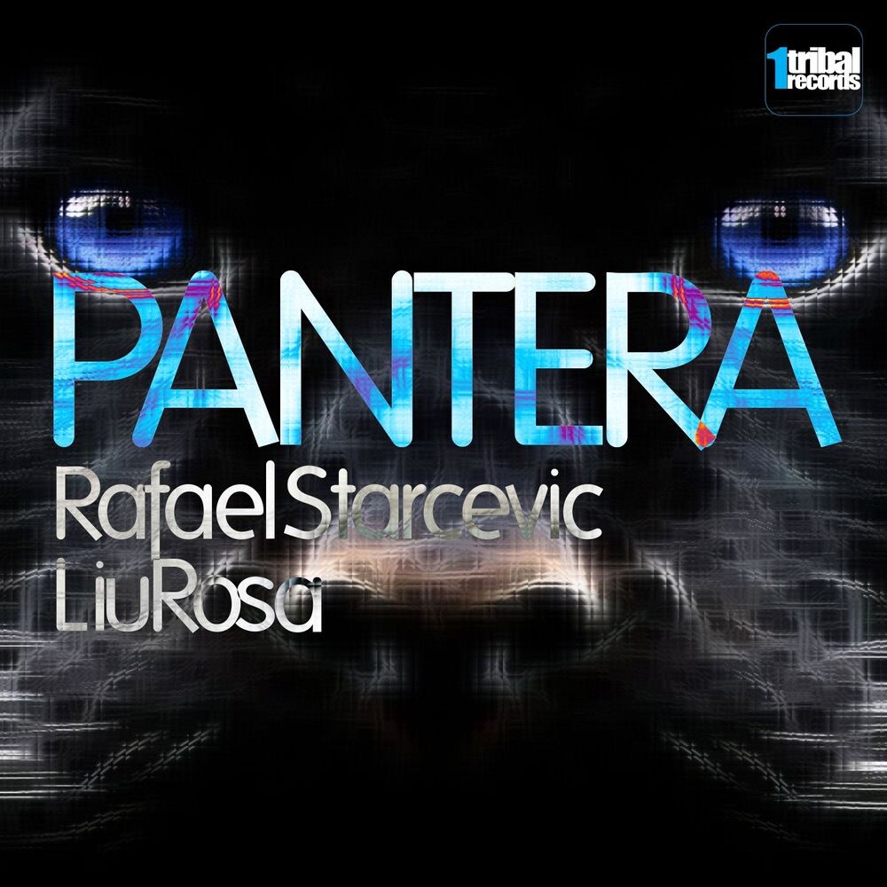 Picture of Pantera