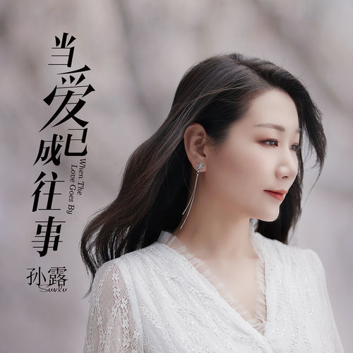 孙露 - 当爱已成往事 | Deezer