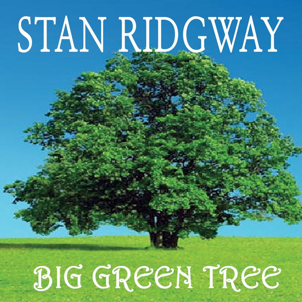 Picture of Big Green Tree
