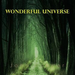 Cover of Wonderful Universe