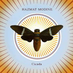 Cover of Cicada