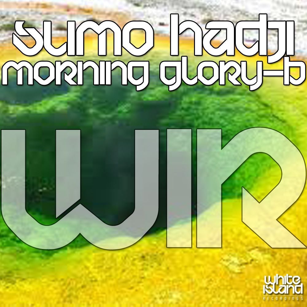Picture of Morning Glory B