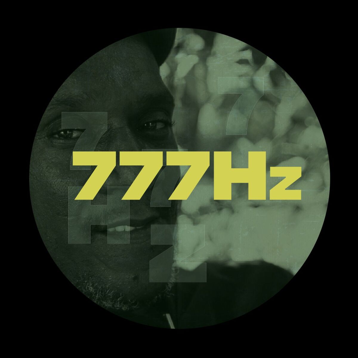 Album cover of 7HZ002