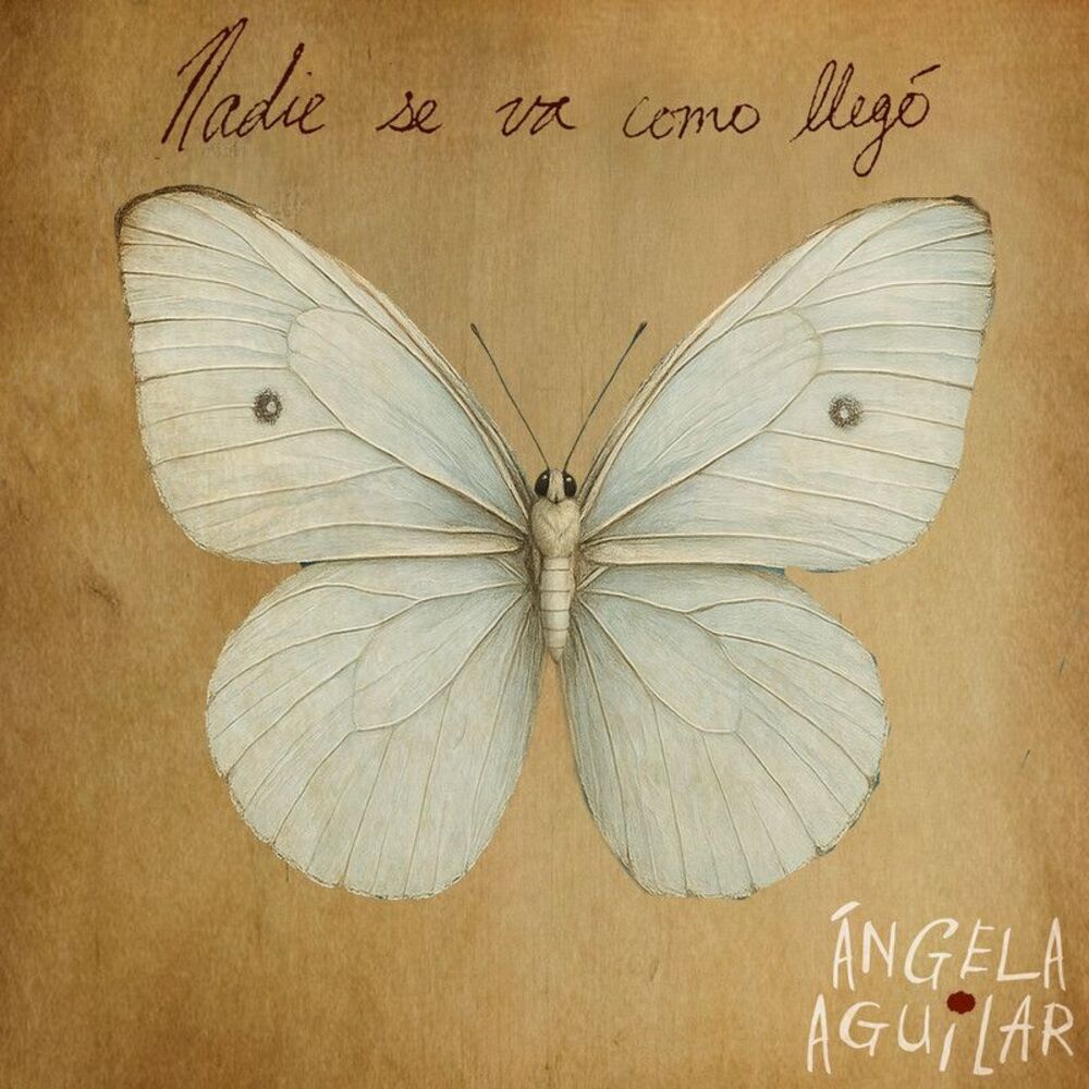 Picture of Nadie Se Va Como Llegó