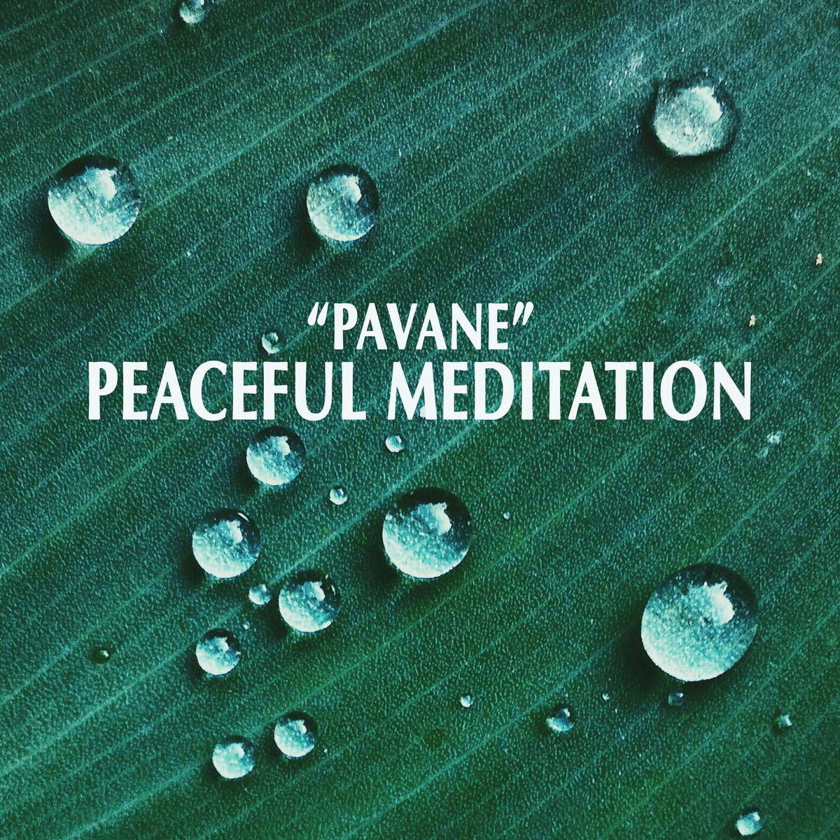 Album cover of 