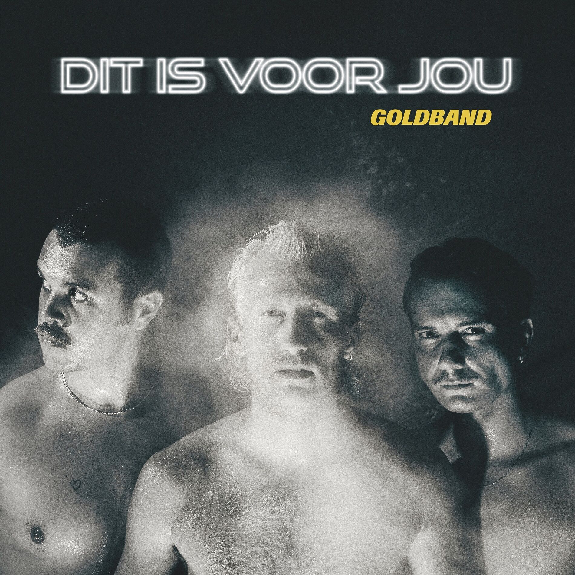 Album cover of Dit Is Voor Jou