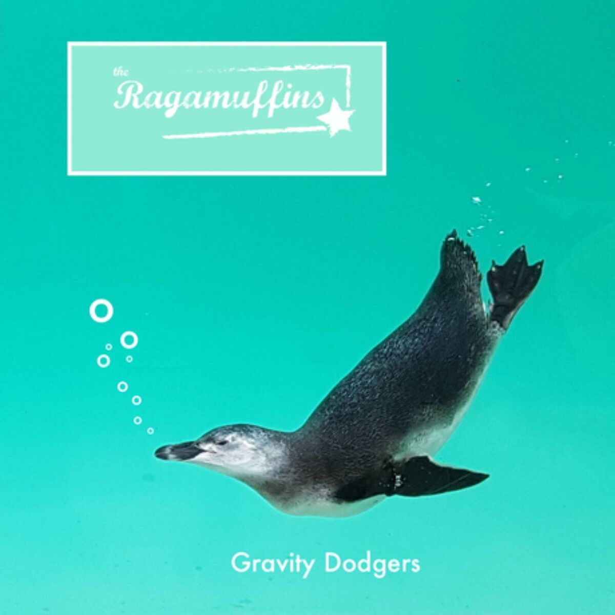Album cover of Gravity Dodgers