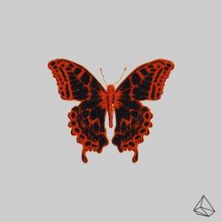 Cover of X2UO