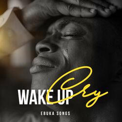 Cover of Wake Up Cry