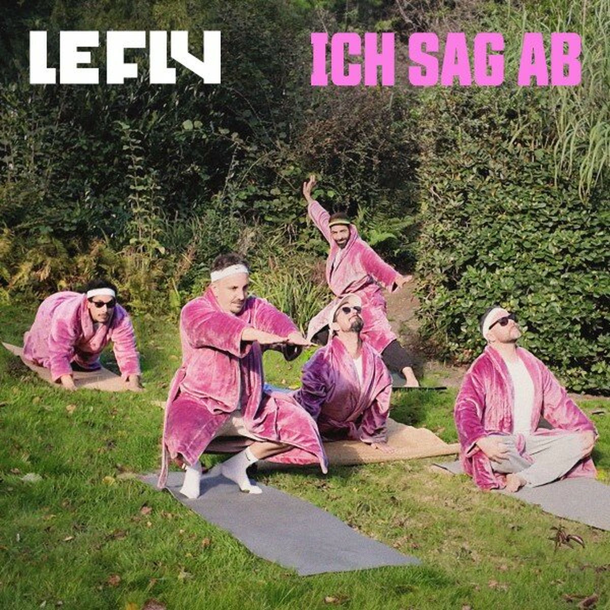 Album cover of Ich Sag Ab