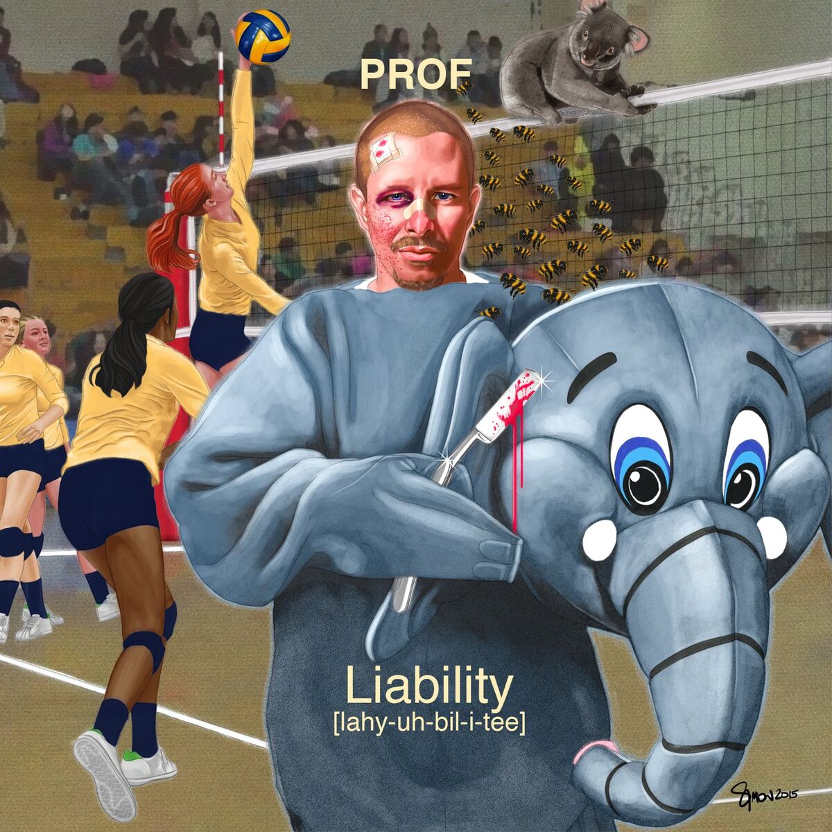Album cover of Liability