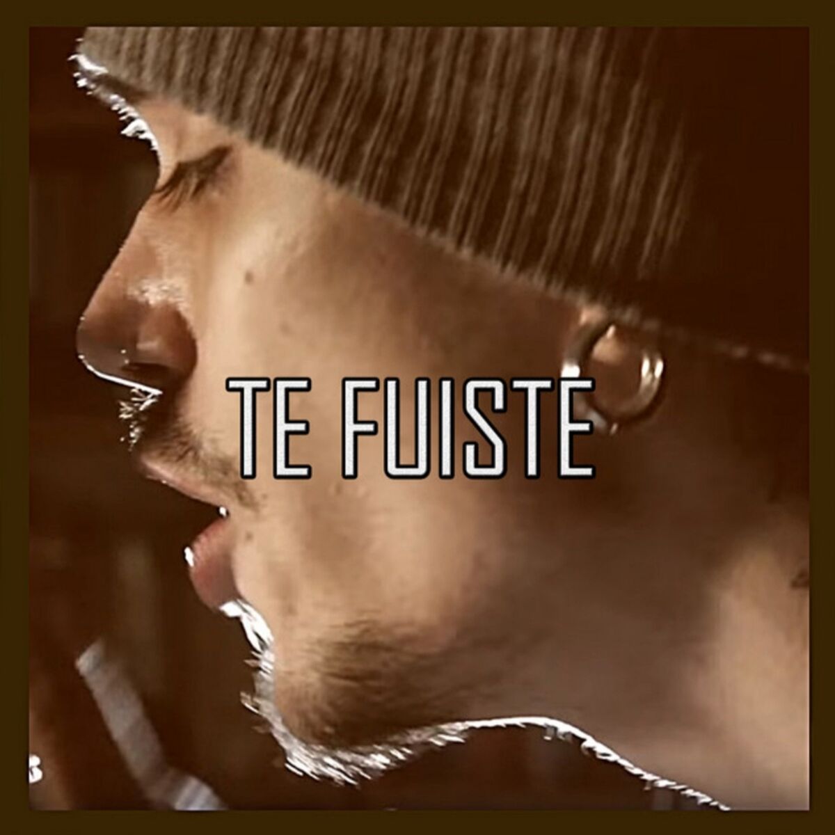 Album cover of Te Fuiste