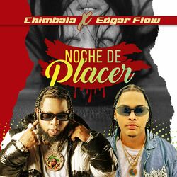 Cover of noche de placer